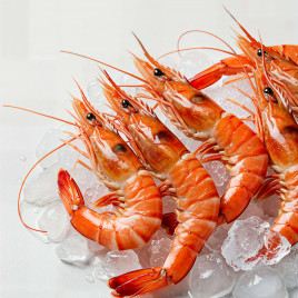 Креветка Королевская