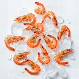 Креветка Северная
