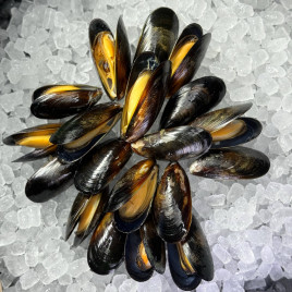 Мидии Новозеландские 30/40