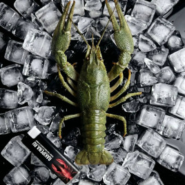 Раки Отборные